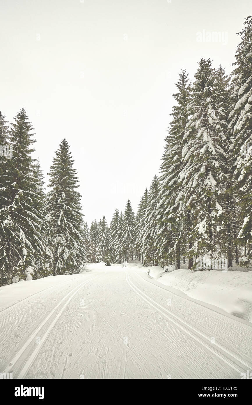 Retro stilisierte Bild eines Winter wald landschaft mit Langlaufloipen, Polen. Stockfoto