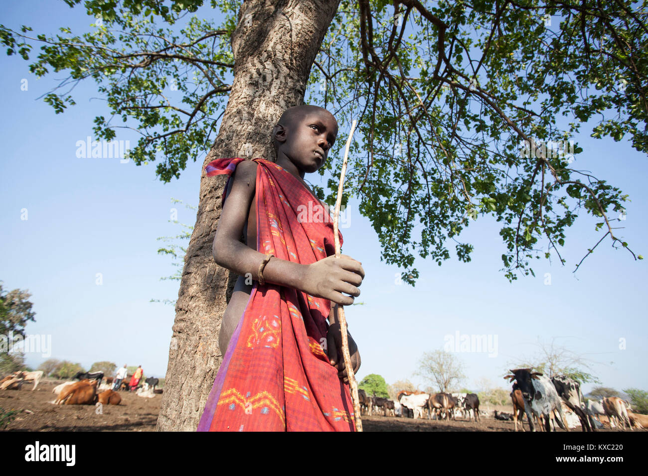 Mbambalaji Ngayoni warten für seine Freunde zusammen zu Wald zum hinteren Rinder in Kilosa, Tansania gehen. Stockfoto