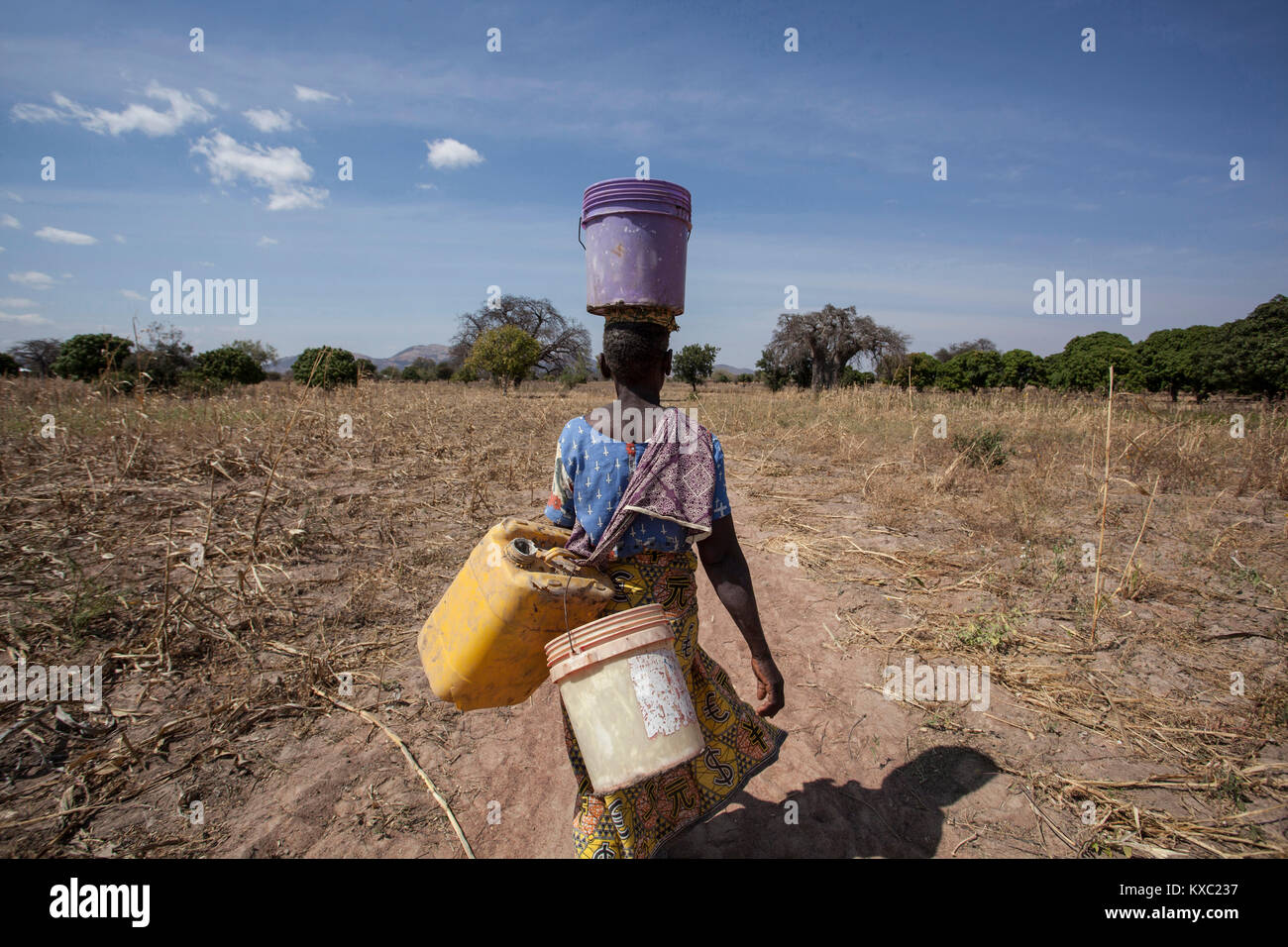 Ezeleda Mwalyenga geht zurück Home mit einem Eimer Wasser auf dem Kopf am Ortsrand von Idifu Dorf Dodoma Region, Tansania gelegt. Stockfoto