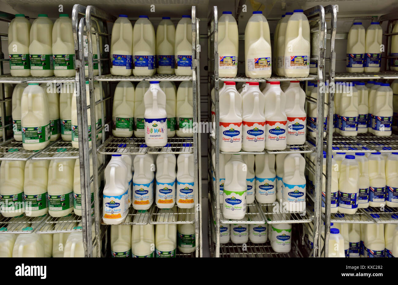 Anzeige von vier und sechs pint Kunststoff Kartons von Milch auf gekühlte Kabel Regalsysteme für effiziente Disposition in Supermarkt. Stockfoto