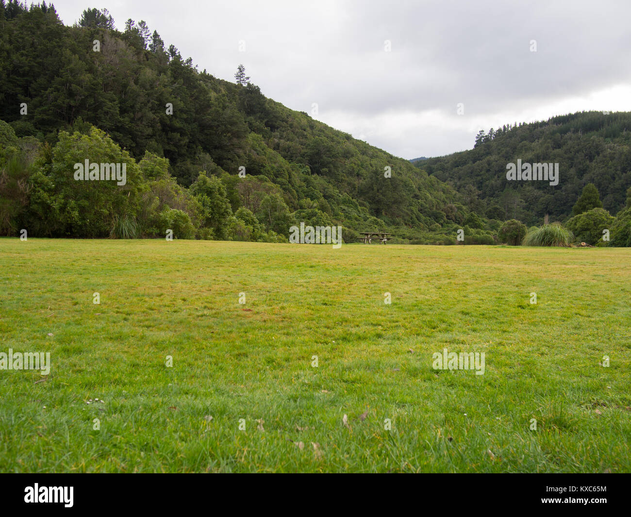 Grünes Gras und Hügel Landschaft Stockfoto