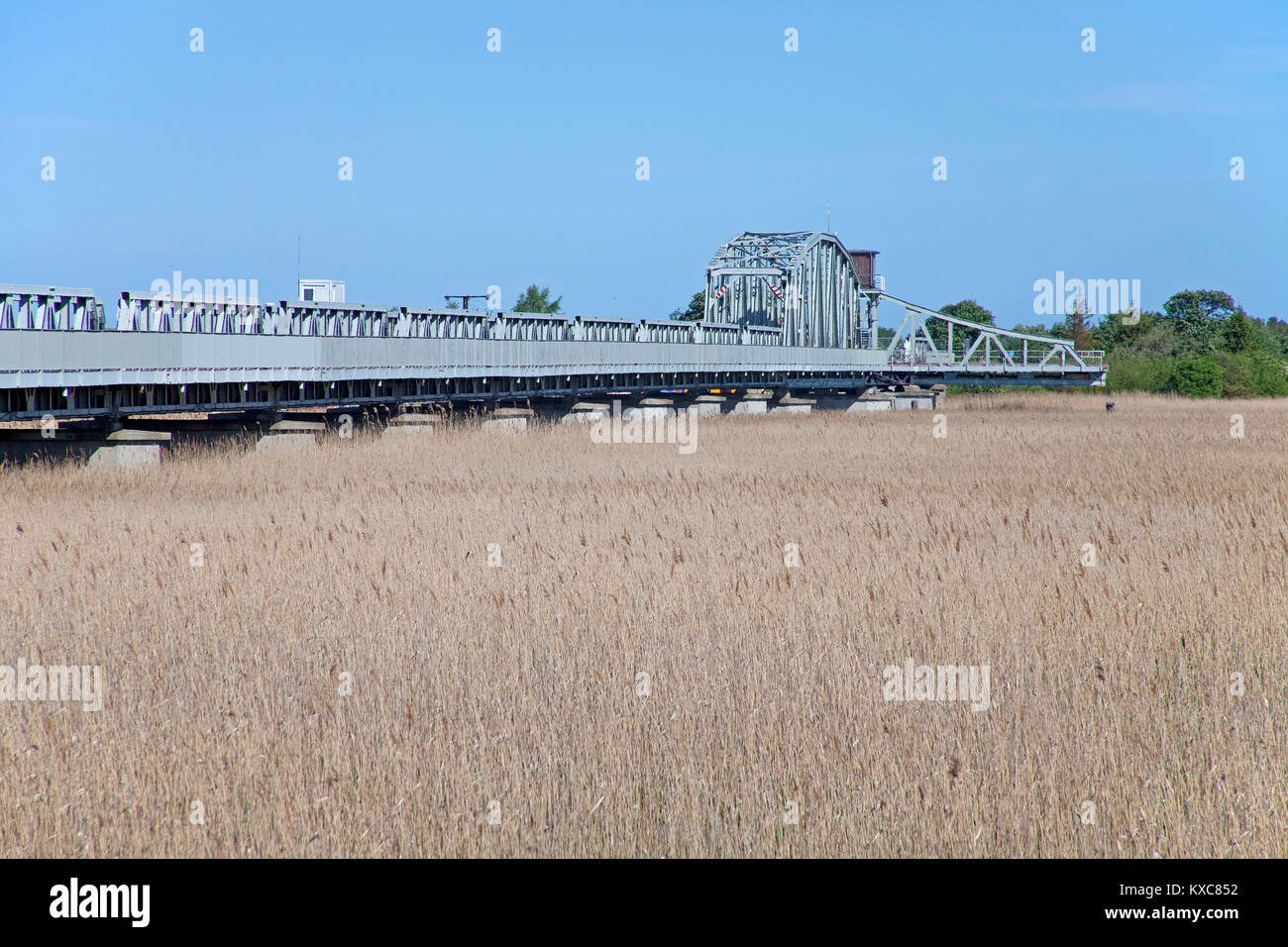 Reed Zone in die Meiningen Brücke (zugbrücke), Bresewitz, Fishland, Mecklenburg-Vorpommern, Ostsee, Deutschland, Europa Stockfoto