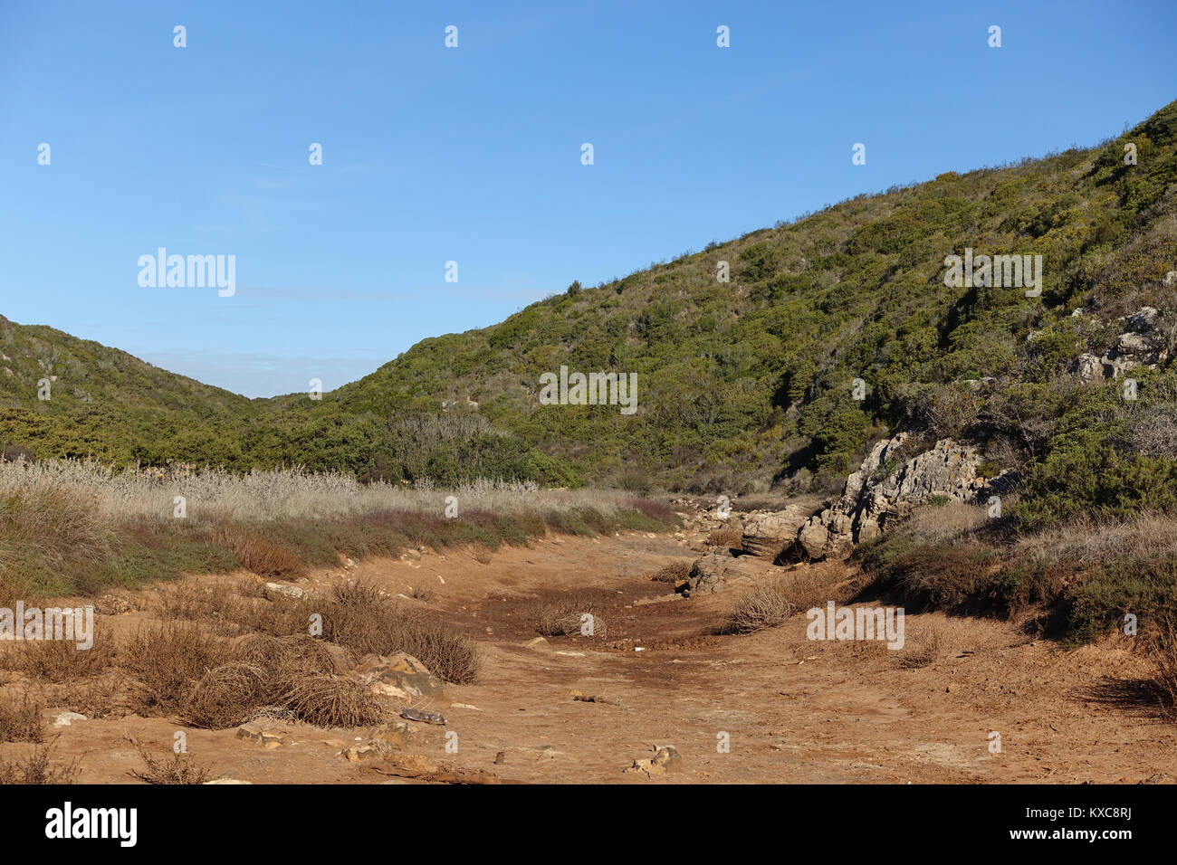 Ausgetrocknete Flussbett von Buschland und Heide umgeben Stockfoto