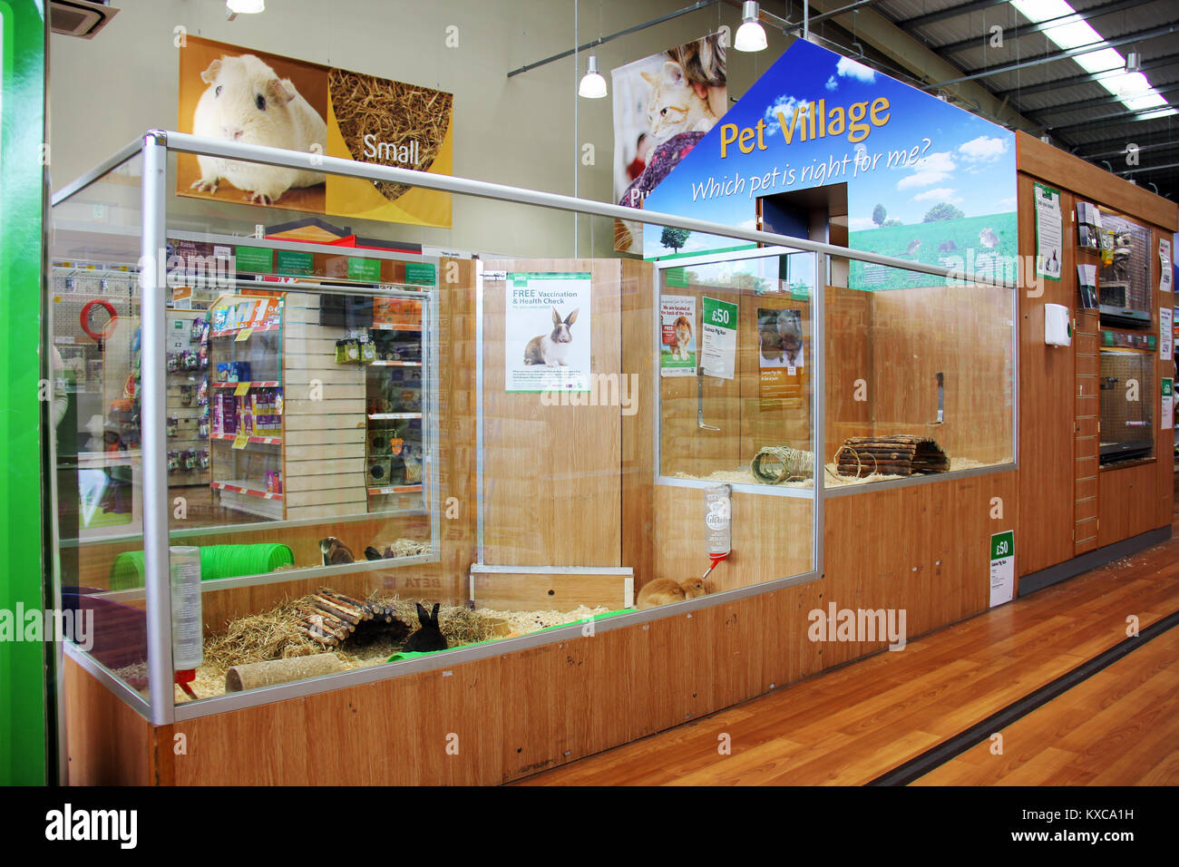 England, Kent, Orpington ca. Juli 2014 Riesige pet inclosure in