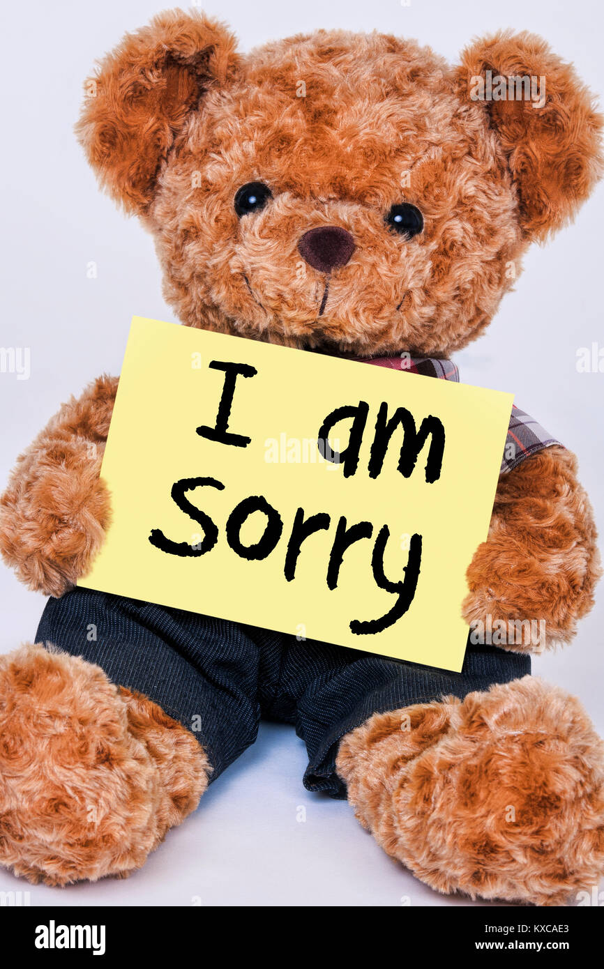 Cute teddy bear Holding ein gelbes Schild mit der Aufschrift tut mir Leid auf weißem Hintergrund Stockfoto