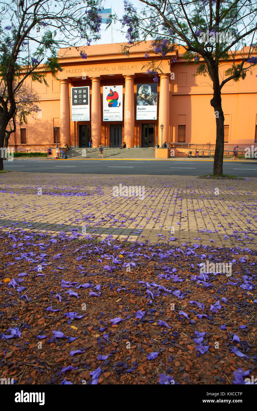 Die Hauptfassade des 'Museo Nacional de Bellas Artes' im Frühling mit Jacaranda-Bäumen. Recoleta, Buenos Aires, Argentinien. Stockfoto