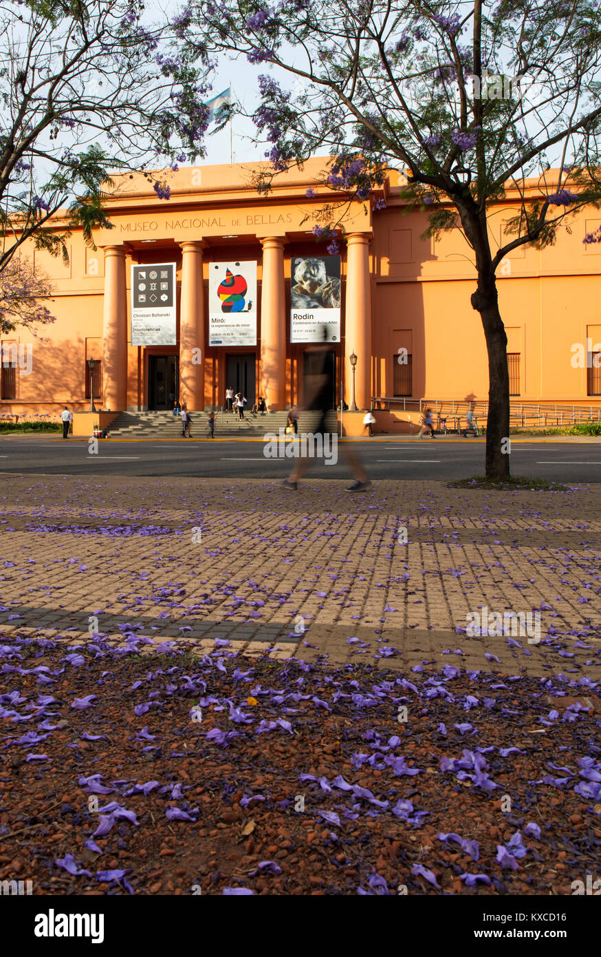 Die Hauptfassade des 'Museo Nacional de Bellas Artes' im Frühling mit Jacaranda-Bäumen. Recoleta, Buenos Aires, Argentinien. Stockfoto