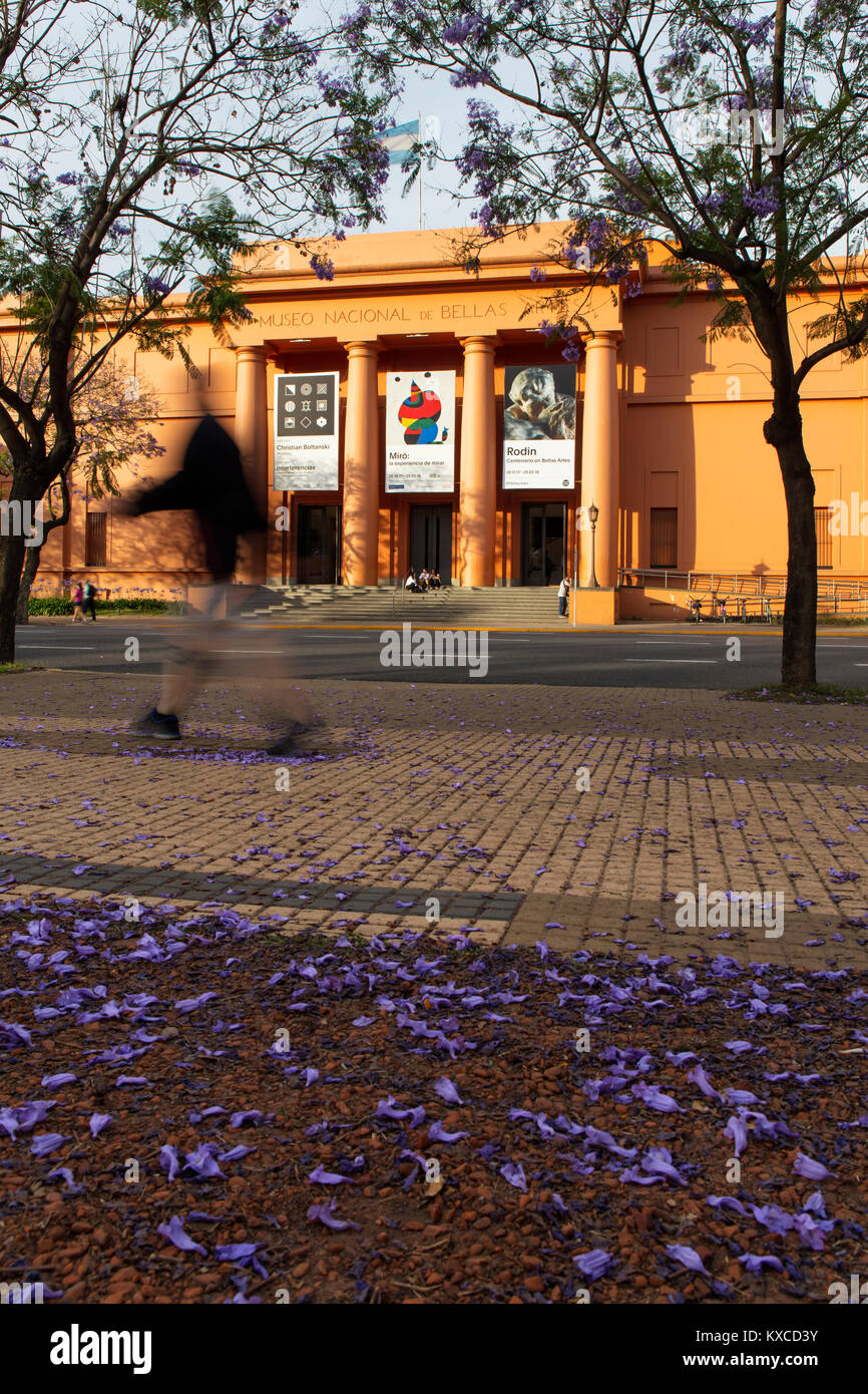 Die Hauptfassade des 'Museo Nacional de Bellas Artes' im Frühling mit Jacaranda-Bäumen. Recoleta, Buenos Aires, Argentinien. Stockfoto