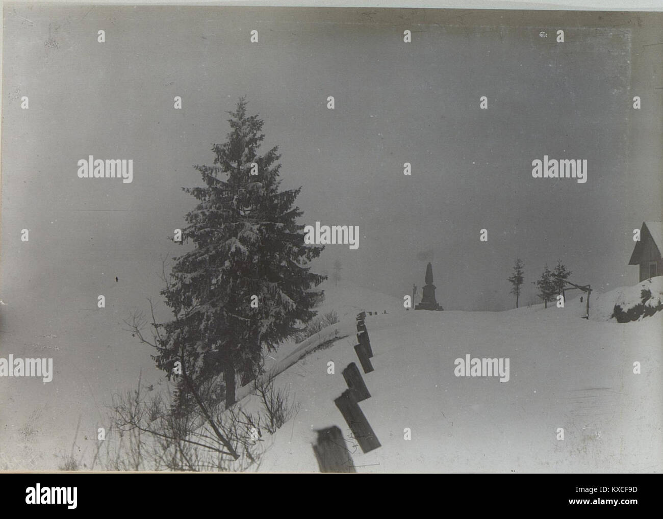 Ein historischer Grenzstein auf der Verbiashöhe, der die ehemalige Grenze zwischen Ungarn und Galicien markiert. Der Stein symbolisiert zentraleuropäische territoriale Abgrenzungen aus dem 19. Jahrhundert. Stockfoto