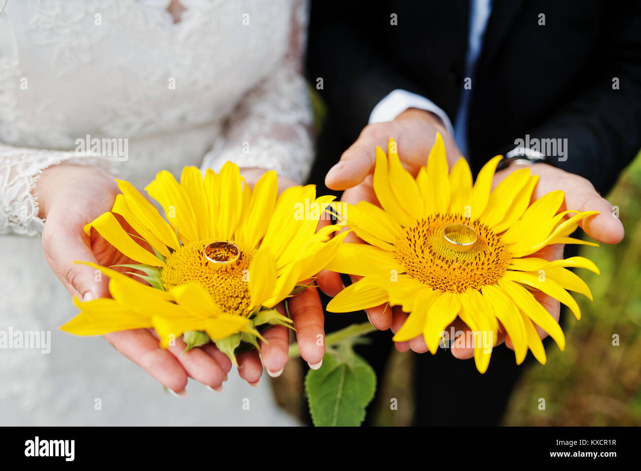 Nahaufnahme von Sonnenblumen in der Hochzeit paar Hände. Stockfoto