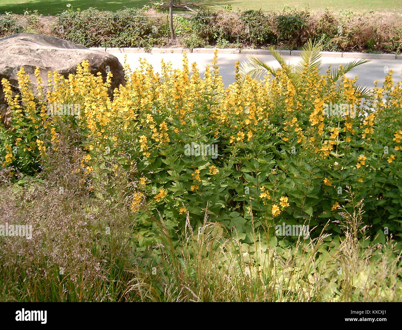 Dieser Titel bezieht sich auf ein Dokument oder eine Datei, möglicherweise in Bezug auf HTML oder Codierung, insbesondere den dritten Teil einer Serie. Es handelt sich wahrscheinlich um eine technische Version oder Aktualisierung von HTML-Code, der in der Webentwicklung verwendet wird. Stockfoto