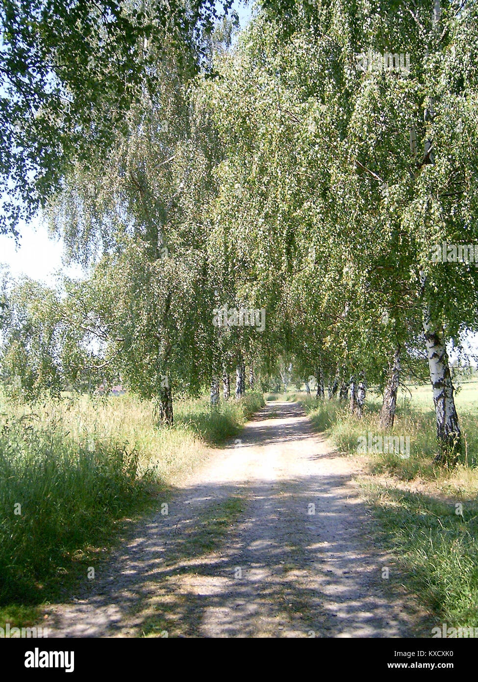 Eine digitale technische Referenz, die sich wahrscheinlich auf ein HTML-Element, Webinhalte oder Datei-ID bezieht, das in Webentwicklungs- oder Content-Management-Systemen verwendet wird. Stockfoto