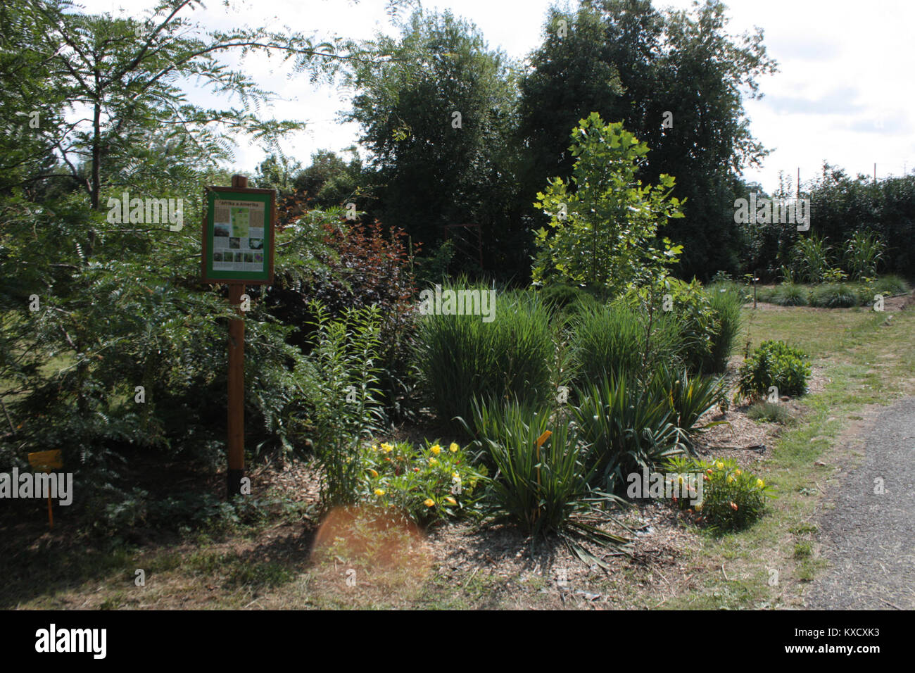 Eine digitale Dateireferenz, die den dritten Teil eines HTML-Dokuments oder Webprojekts darstellt und Codestruktur, Markup-Elemente und Metadaten-IDs enthält. Stockfoto