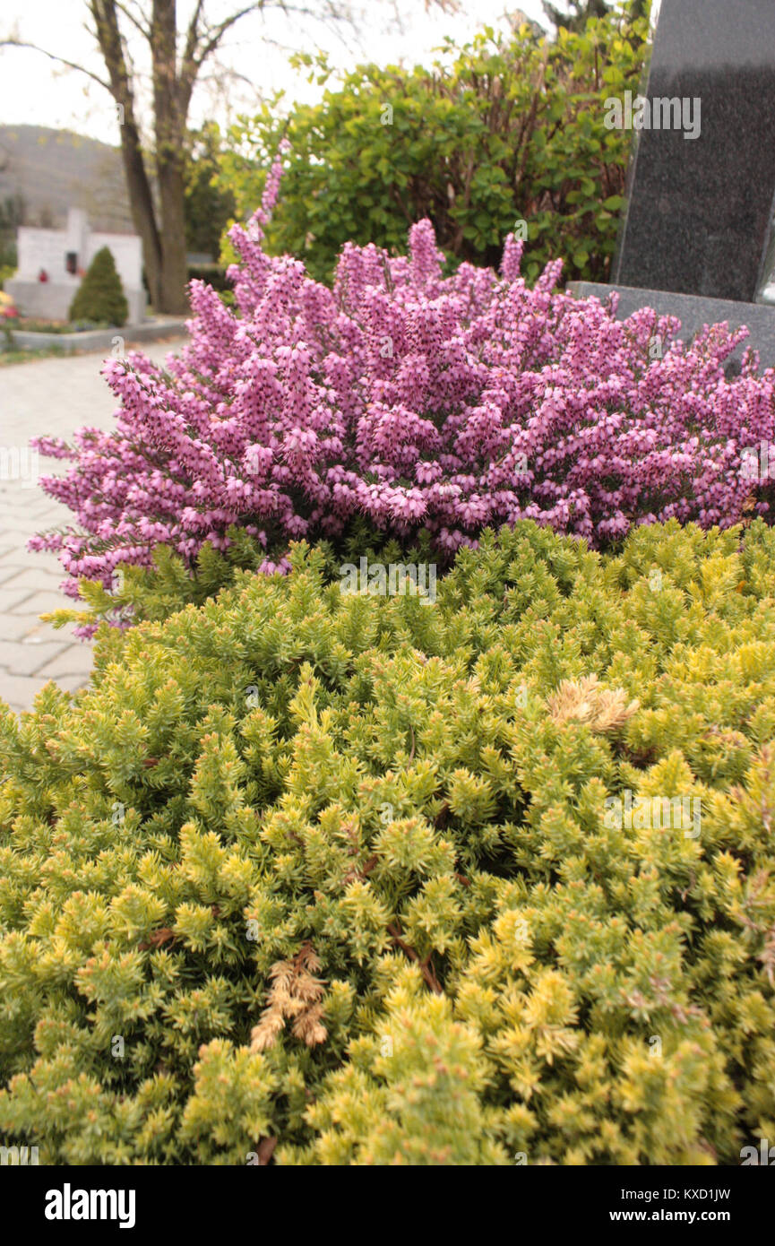 Diese Zeile referenziert eine digitale Datei mit der Bezeichnung „5.díl html 4c6e6ee2“. Es stehen keine kontextbezogenen oder beschreibenden Informationen zur weiteren Klassifizierung zur Verfügung. Stockfoto