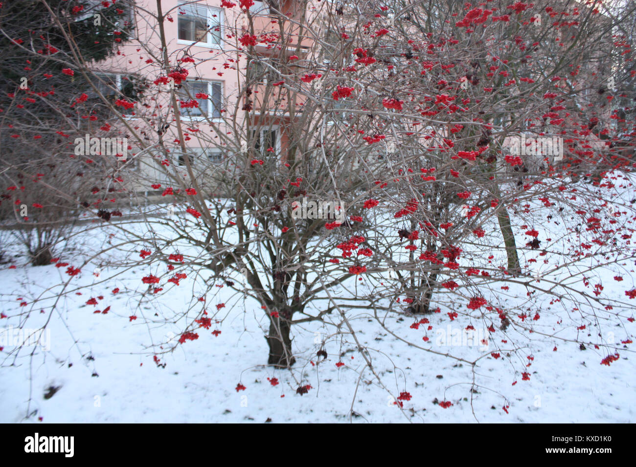 Dieser Eintrag bezieht sich auf eine digitale HTML-Datei mit der Bezeichnung „5.díl html 54996a1c“, für die keine weiteren beschreibenden Inhalte verfügbar sind. Stockfoto