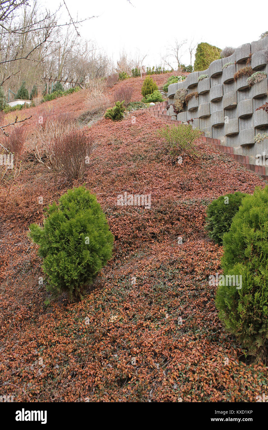 Verweis auf den fünften Teil eines HTML-Dokuments mit der Bezeichnung „5.děl“, der einen strukturierten Abschnitt mit codierten oder webbasierten Inhalten kennzeichnet. Stockfoto