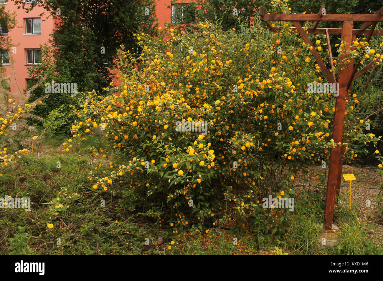 Ein Beispiel für die HTML-Struktur einer Webseite, das die Verwendung grundlegender HTML-Elemente wie Überschriften, Absätze und Links beim Erstellen eines digitalen Dokumentlayouts veranschaulicht. Stockfoto