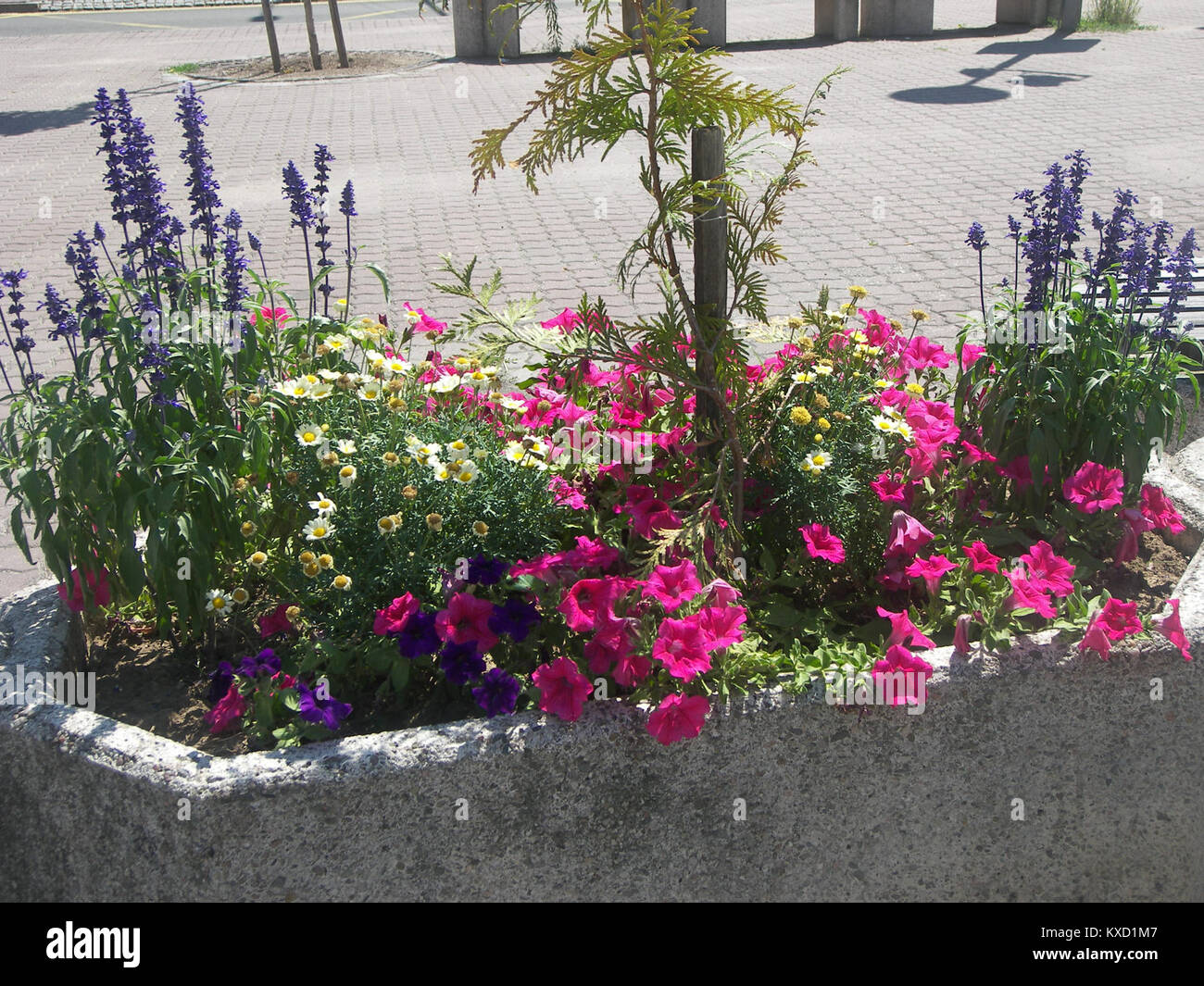 Ein digitales HTML-Dokument mit dem Titel „5.díl html 91b8113“, das einen strukturierten Abschnitt oder Teil eines Online-Textes oder Datensatzes darstellt. Stockfoto