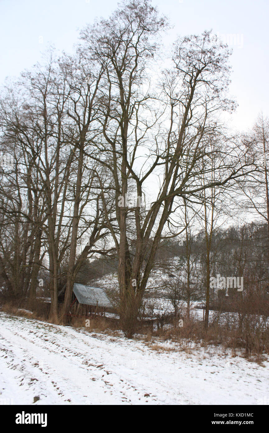 Dieser Eintrag verweist wahrscheinlich auf eine bestimmte HTML-Datei, „5.díl“, die Teil eines technischen Dokuments oder eines Codierungsdokuments sein könnte, das sich auf digitale Inhalte, Programmierungs- oder Webentwicklungsstandards bezieht. Stockfoto