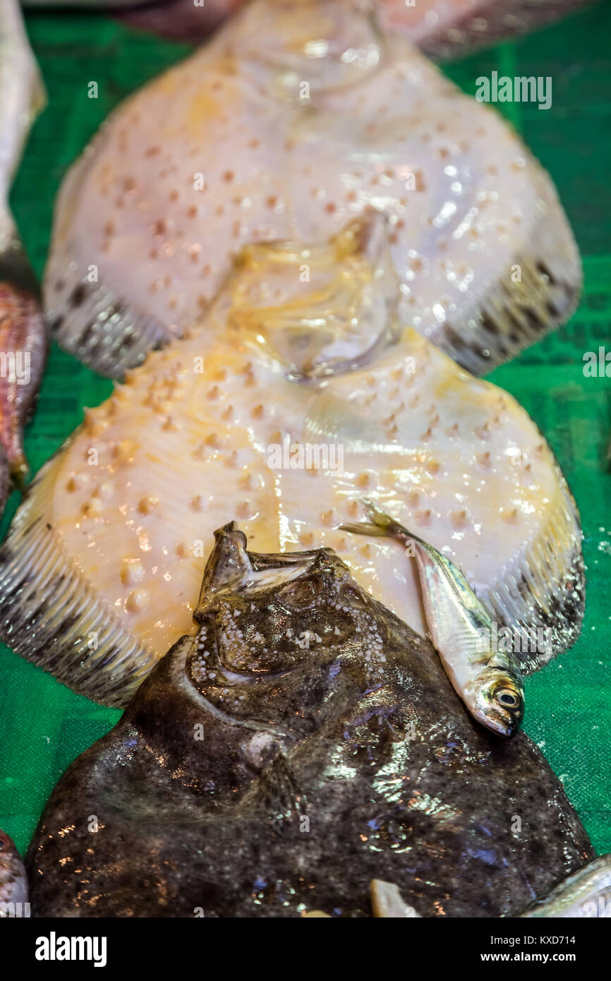 Blick von oben auf die vielen Steinbutt fisch Verkauf auf dem Fischmarkt. Stockfoto