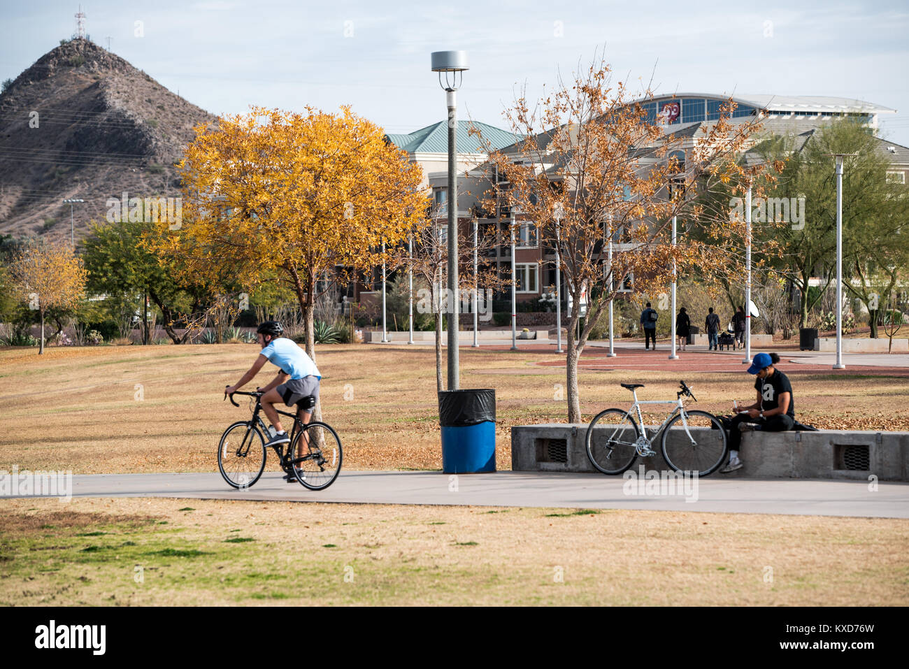 Schöner Park im Herbst Stockfoto