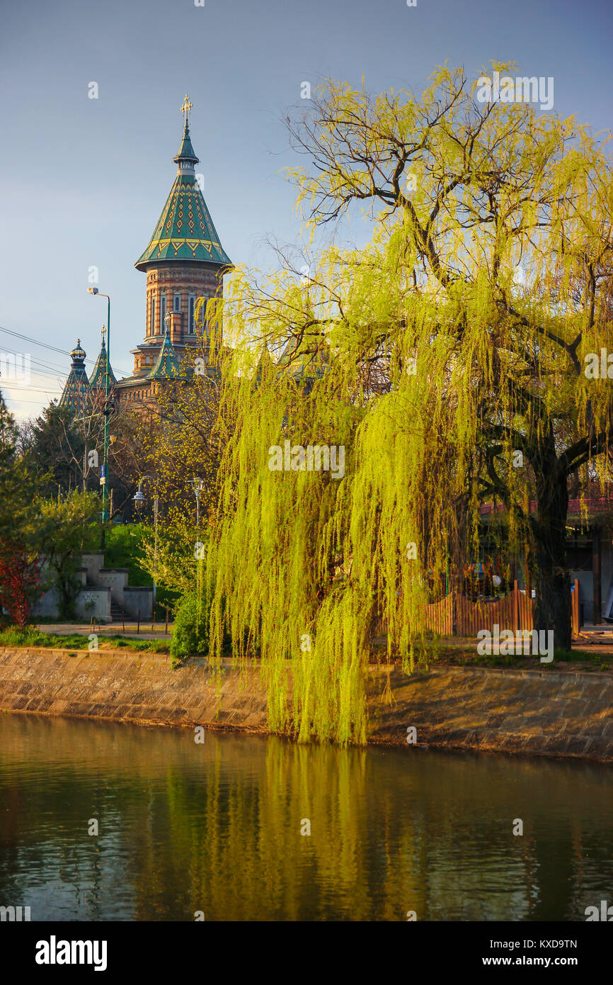 Rückansicht des Griechisch-orthodoxe Kathedrale von der Bega Ufer in Timisoara Timis, Rumänien Stockfoto