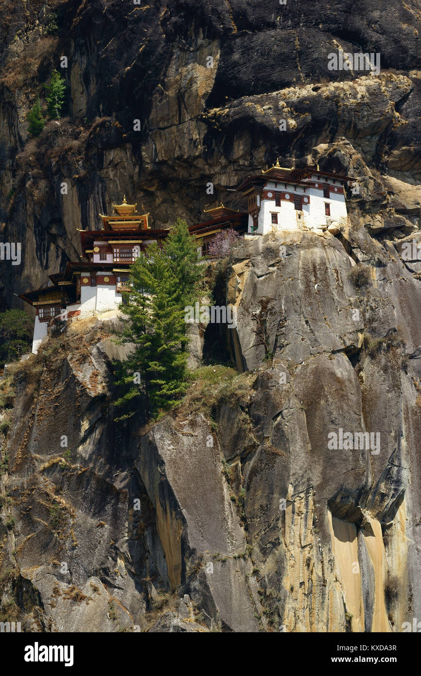 Tiger Nest buddhistischen Kloster, Paro, Bhutan Stockfoto