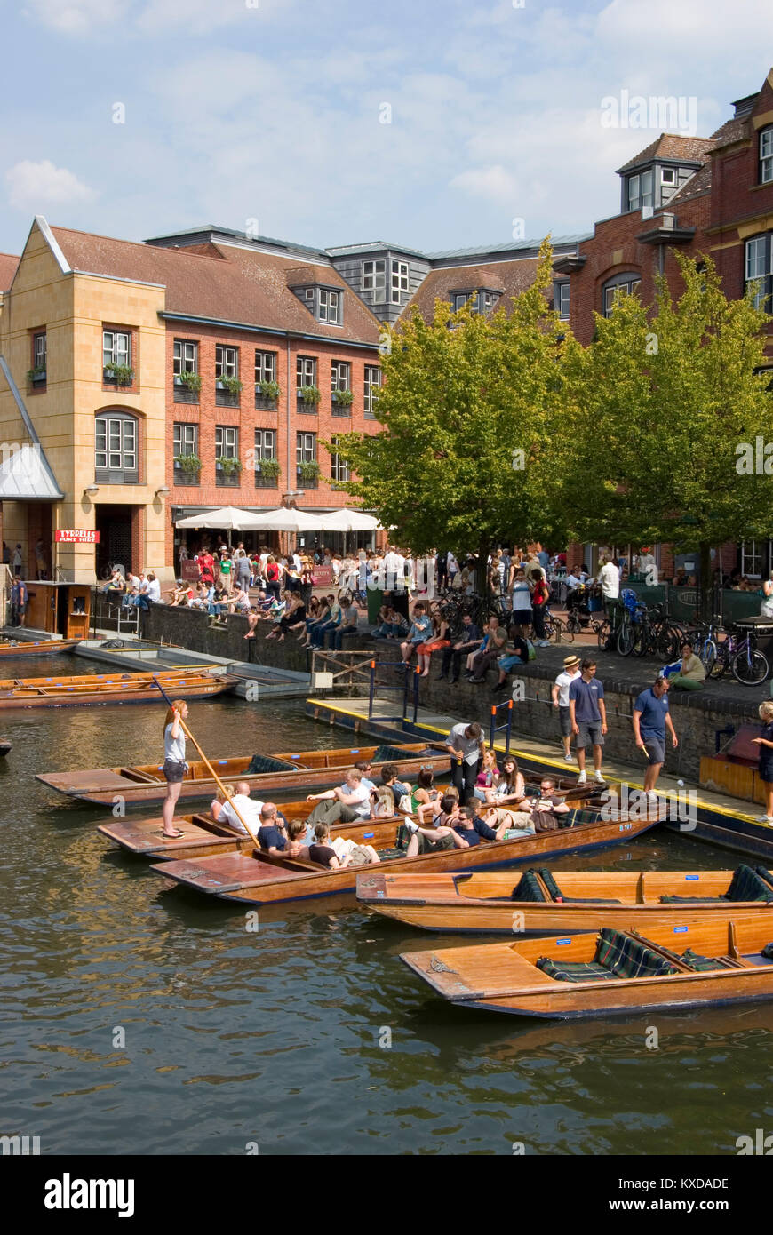 Die scudamore Cambridge Stockfoto