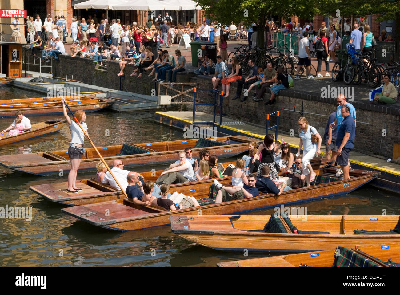 Die scudamore Cambridge Stockfoto