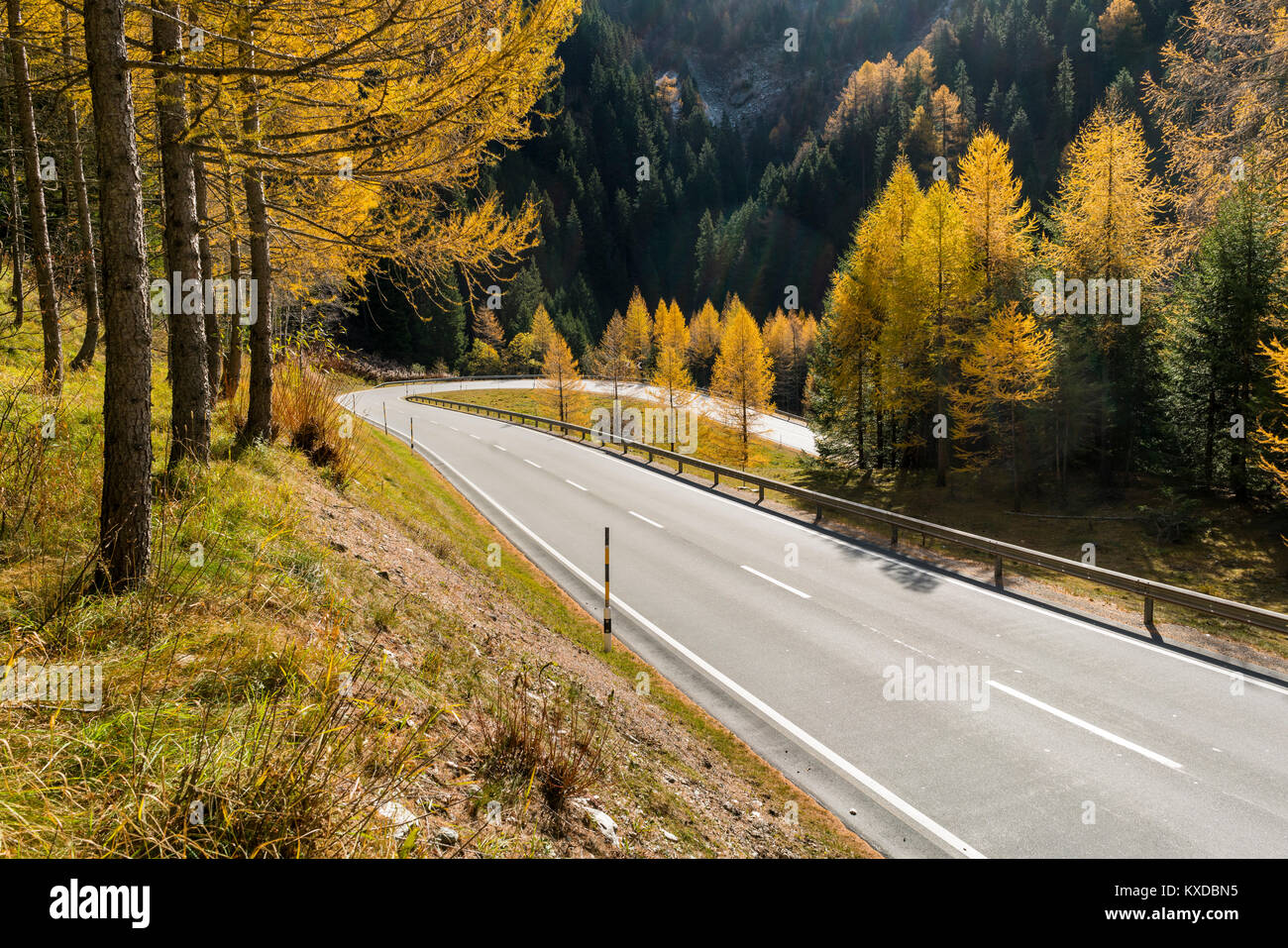 Haarnadelkurve, Straße im Herbst, Malojapass, Kanton Graubünden, Schweiz Stockfoto