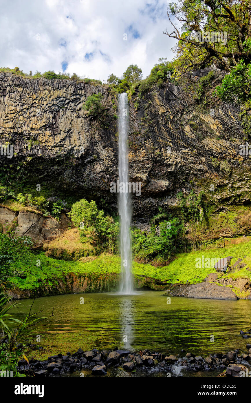 Wand von Basaltsäulen mit Wasserfall Bridal Veil Falls, tropische Vegetation, Pakoka Fluss, Makomako, Waikato, North Island. Stockfoto