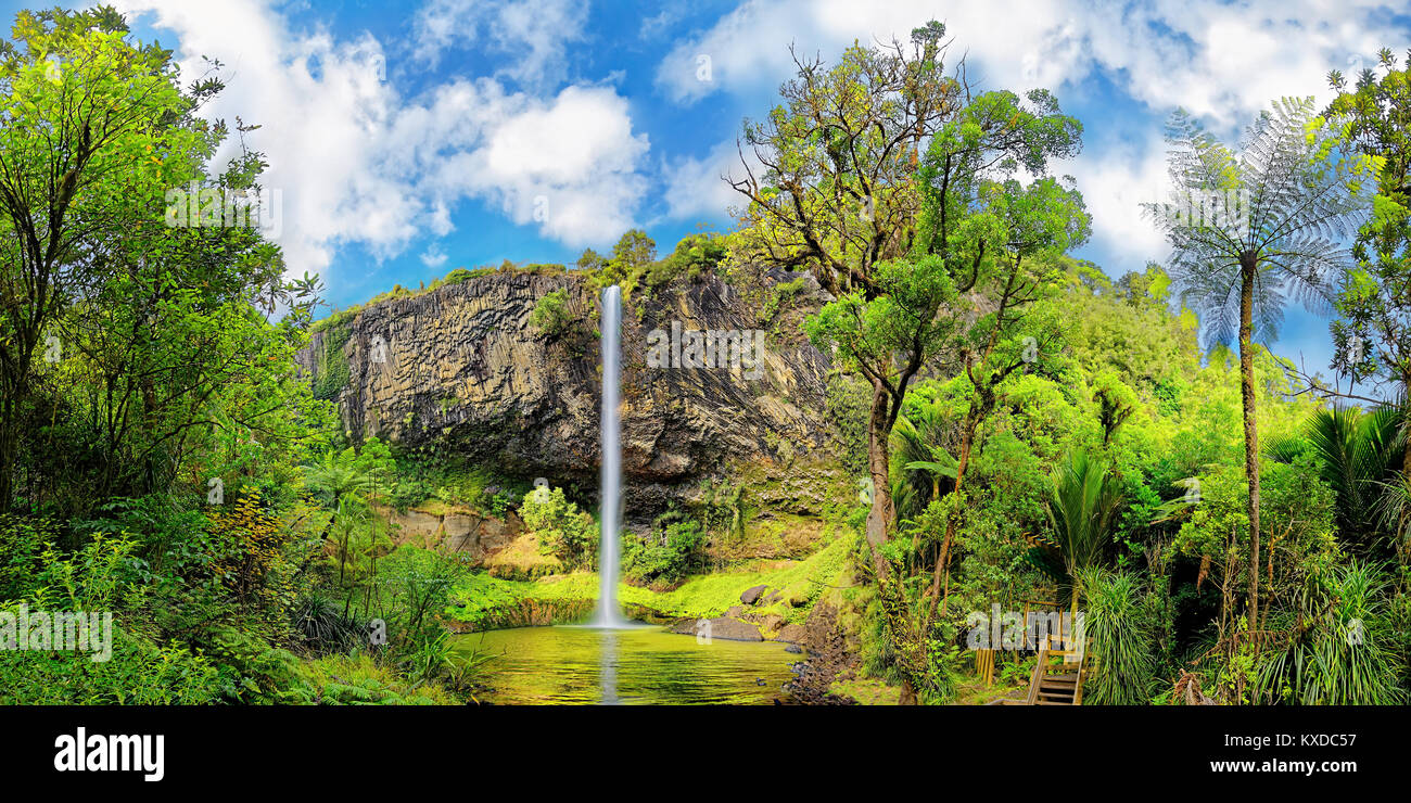 Wand von Basaltsäulen mit Wasserfall Bridal Veil Falls, tropische Vegetation, Pakoka Fluss, Makomako, Waikato, North Island. Stockfoto