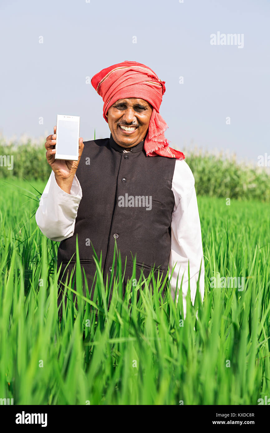 1 Indischen ländlichen Bauern Mann Feld mit Smart Phone Display Stockfoto