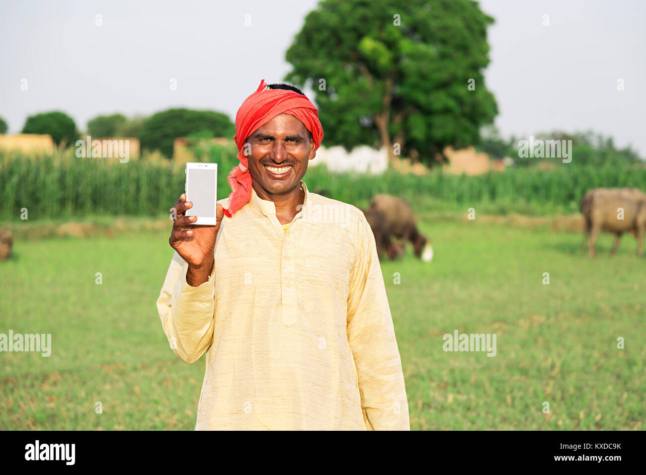 1 Indischen ländlichen Bauern Mann, Bauernhof, Handy Stockfoto