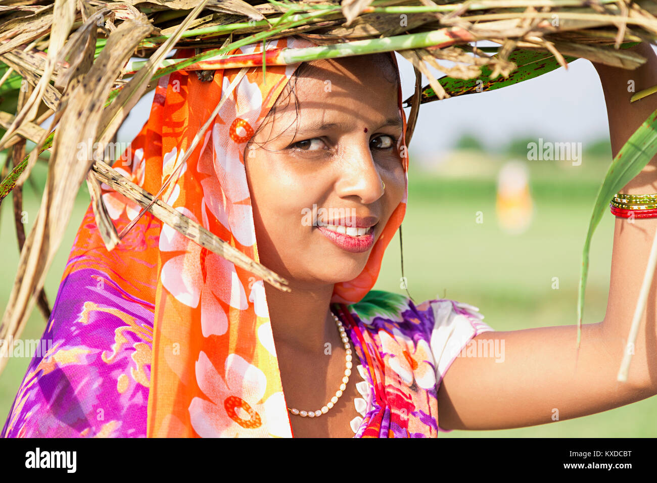 1 Indischen ländlichen Dorfbewohner Lady Durchführung Bündel Unkraut in Dorf Stockfoto