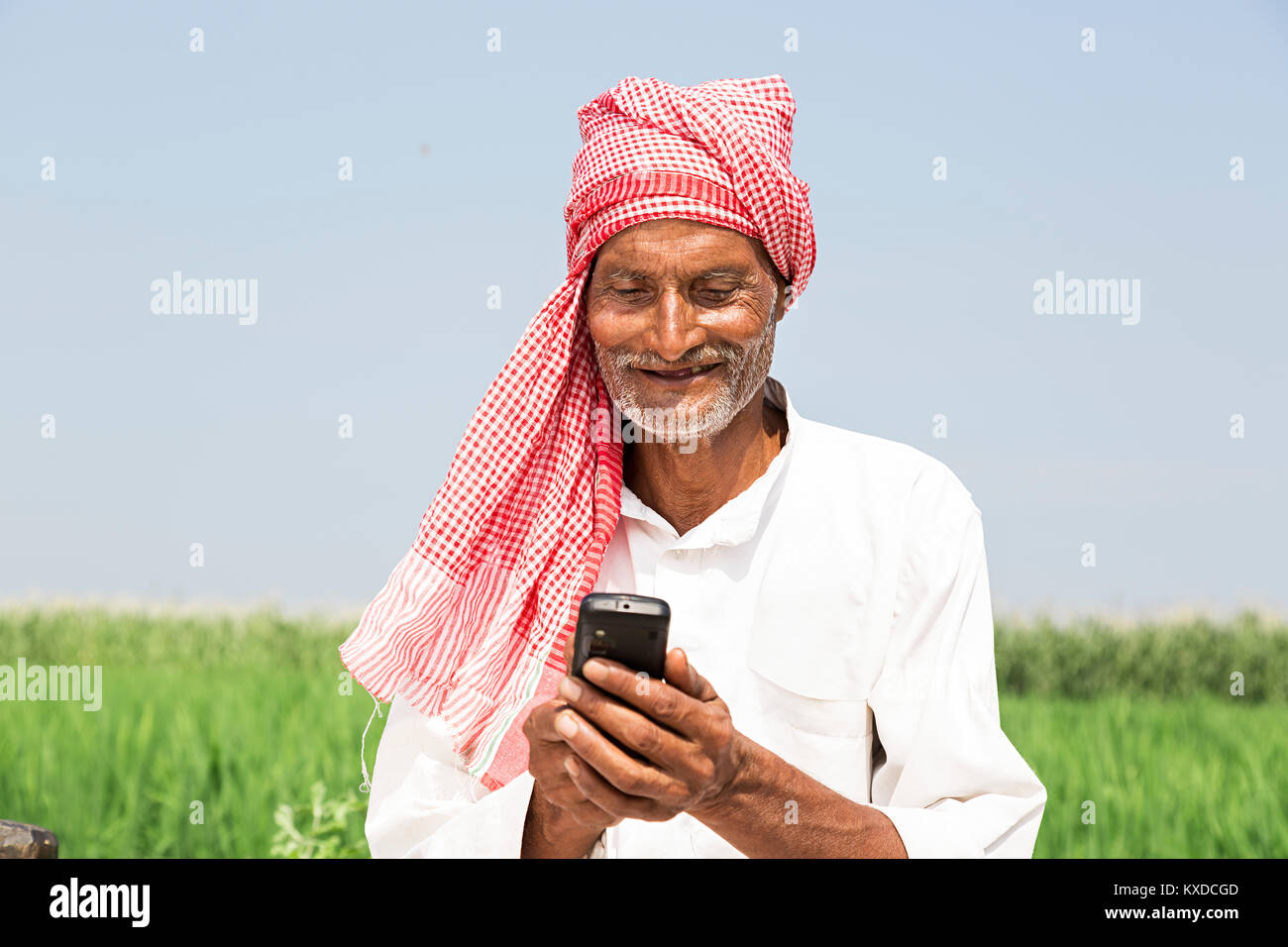 1 Indischen ländlichen Bauern alter Mann lesen Messaging Feld Telefon Stockfoto