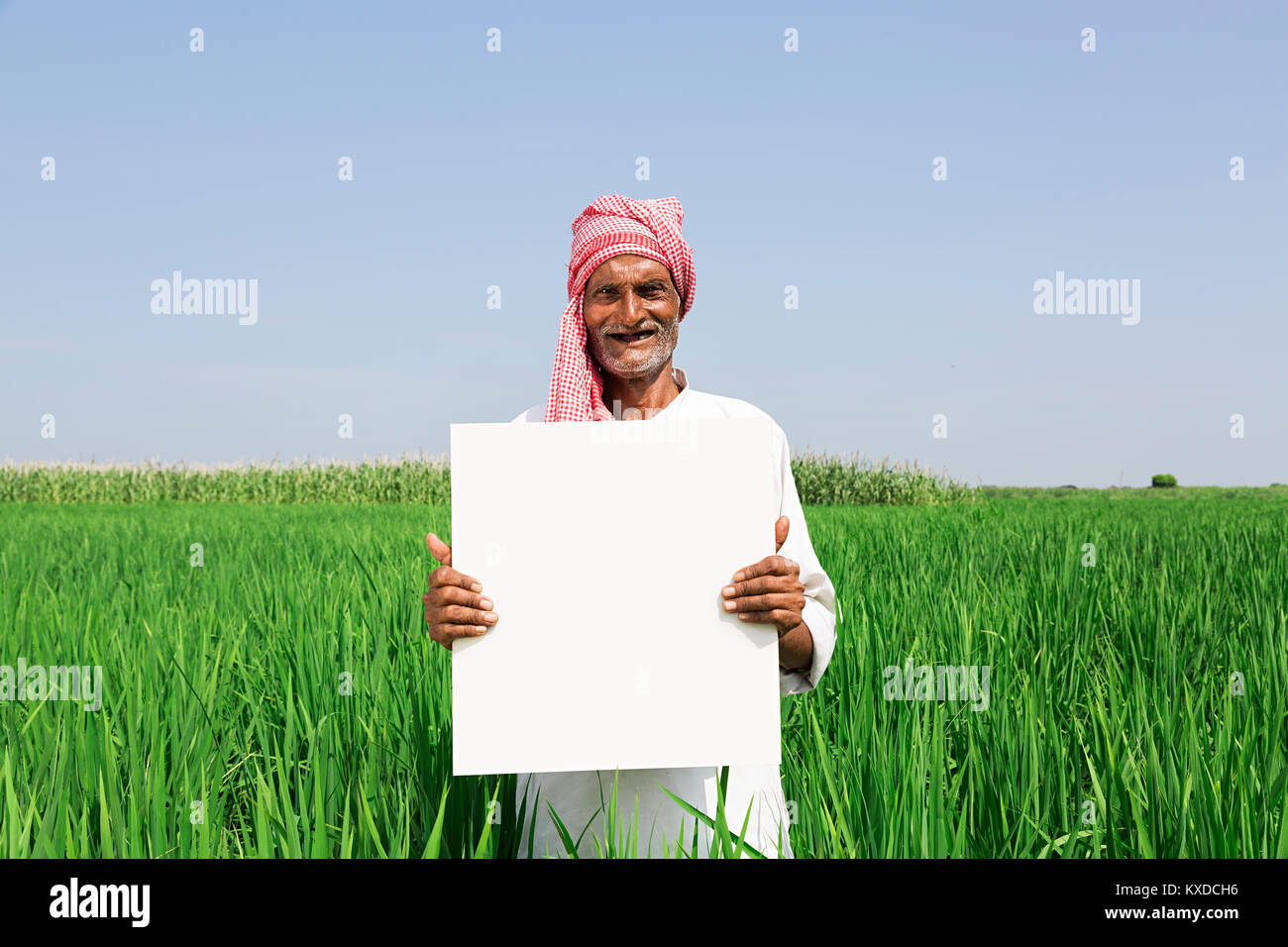 1 Indischen ländlichen Bauern alter Mann mit weißen Brett Feld Stockfoto