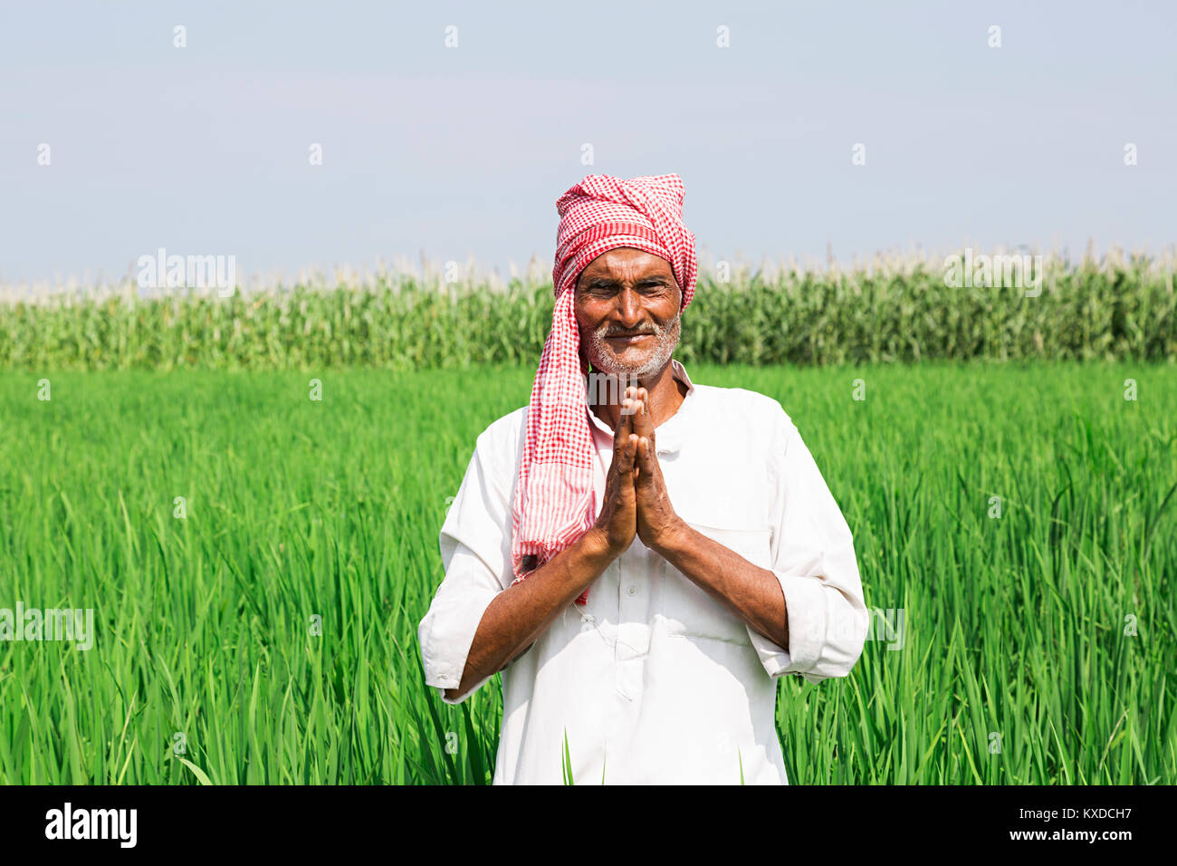 1 indischen Bauern älterer Mann, der Mitglied einer Farm Hände Willkommen Stockfoto