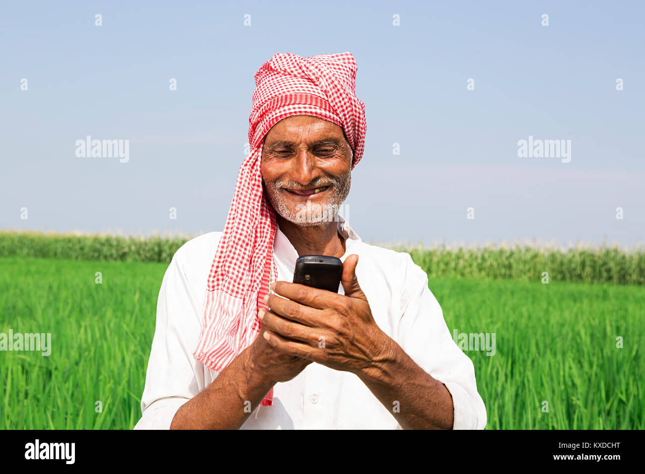 1 Indischen ländlichen Bauern alter Mann senden Messaging Telefon Farm Stockfoto