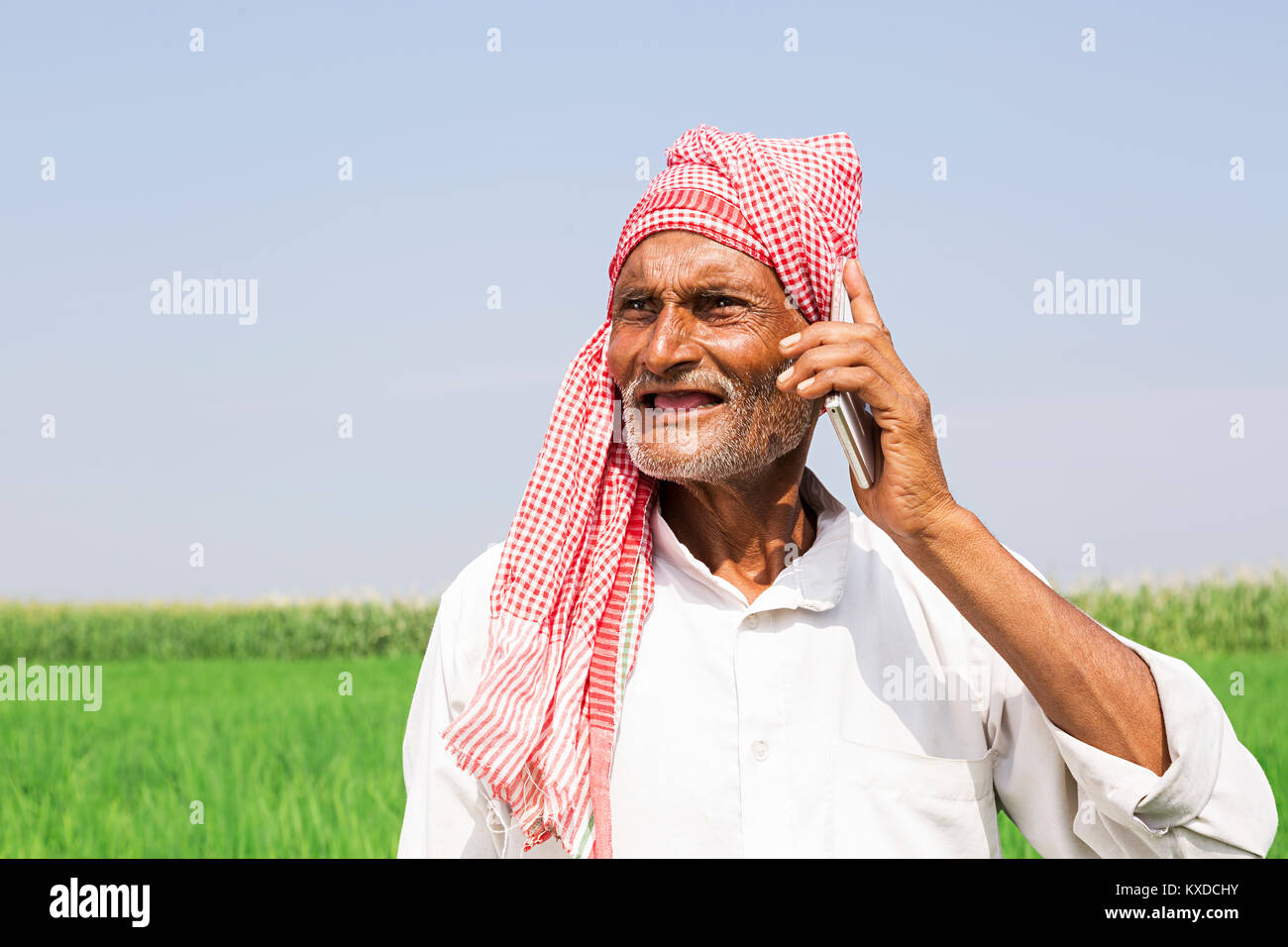 1 Indischen ländlichen Bauern älterer Mann Handy Feld Stockfoto