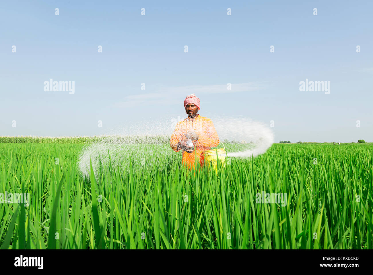 1 Indischen ländlichen Bauern Mann, chemische Düngemittel Pflanzen Farm Stockfoto