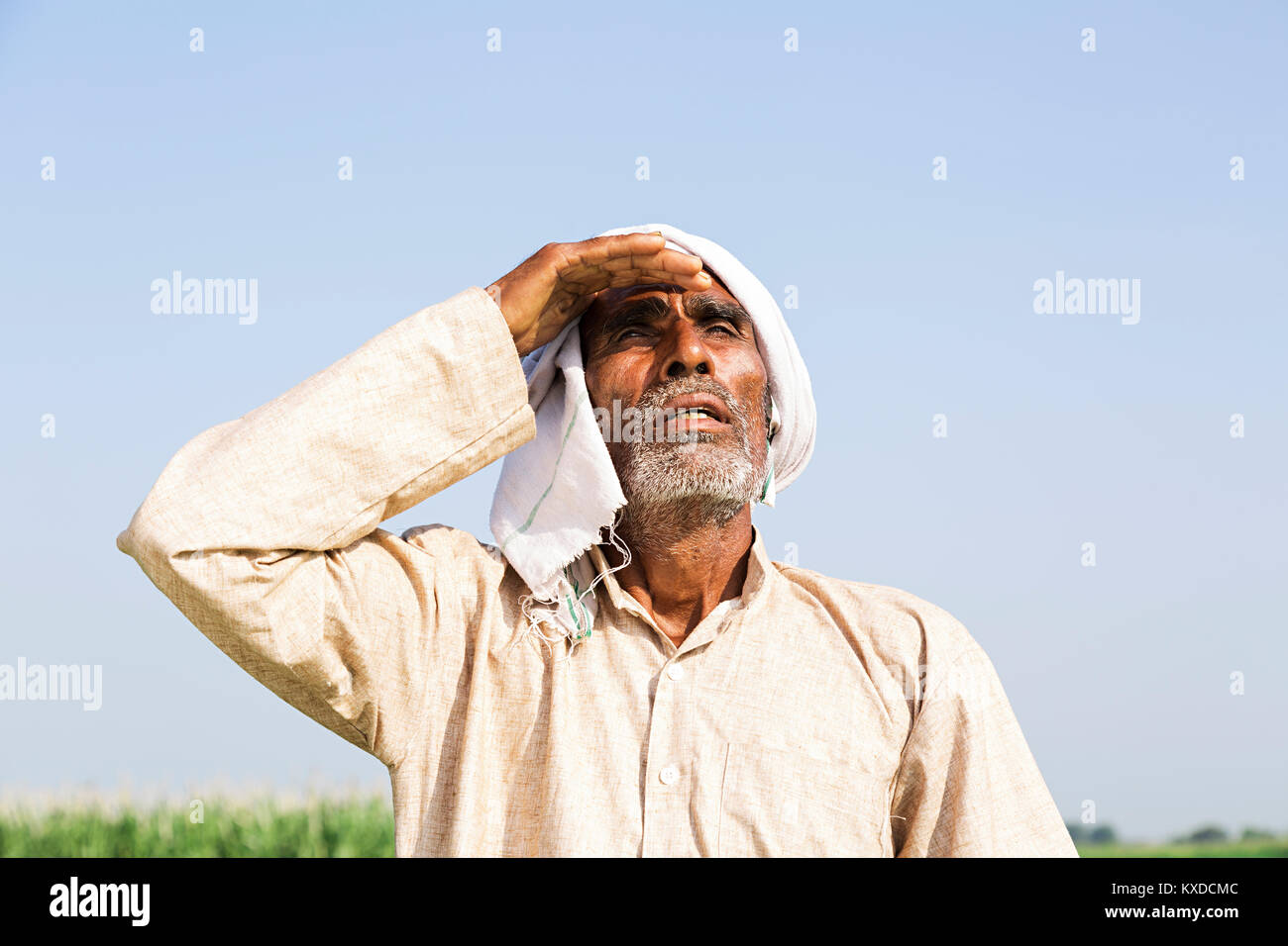 1 Indischen ländlichen Bauern älterer Mann Feld Suchen beobachten Stockfoto