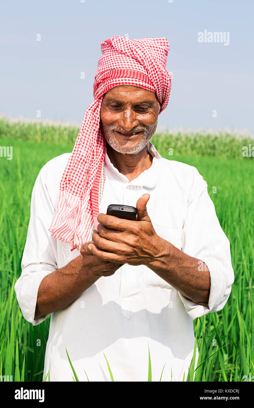 1 Indischen ländlichen Bauern alter Mann lesen Messaging Telefon Farm Stockfoto