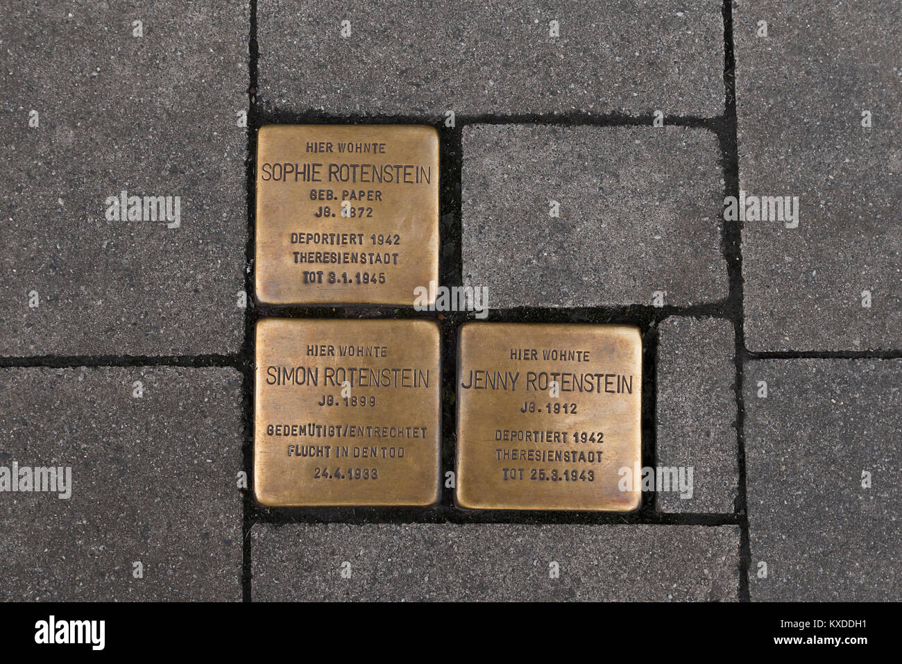 Stolpersteine, Kupfer commemorative Platten von ermordeten jüdischen Bürgerinnen und Bürger in der Zeit des Nationalsozialismus 1933-1945, Erlangen, Mittelfranken Stockfoto