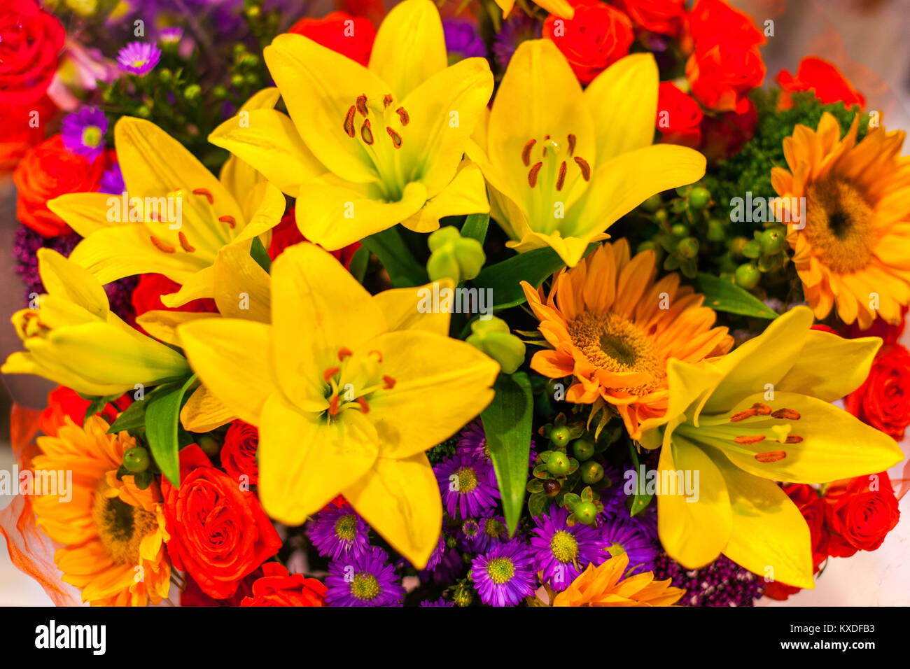 Schönen Blumenstrauß aus farbenfrohen Blumen hautnah. Stockfoto