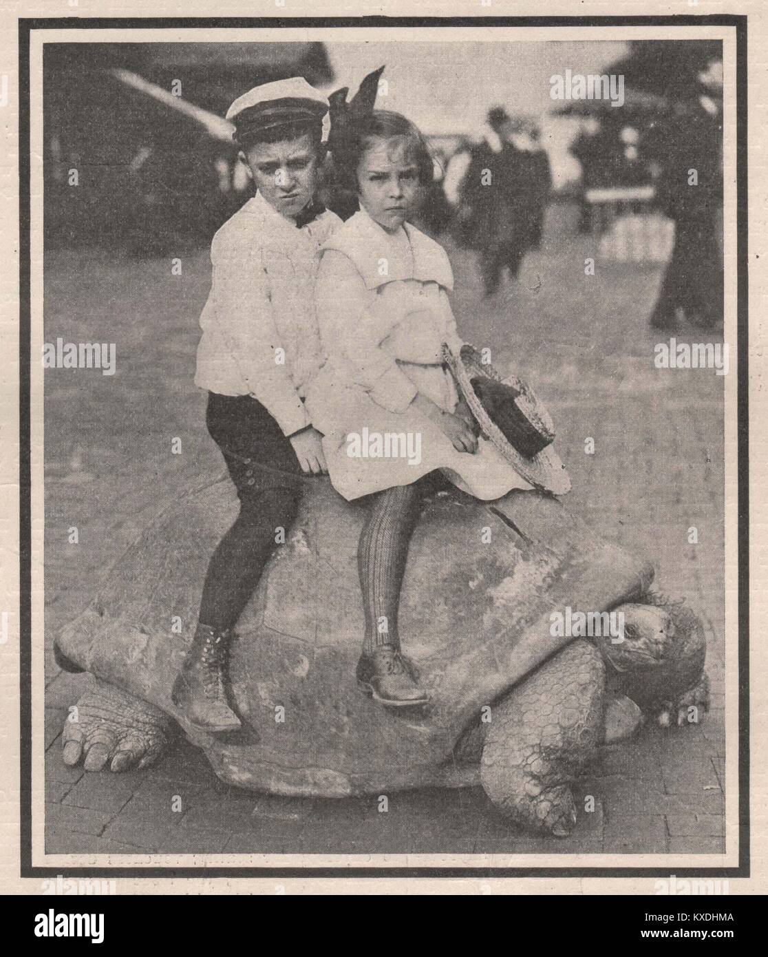 Riesenschildkröten, die wiegt 970 kg. Und ist angeblich, 300 Jahre alt zu werden. Er kann problemlos transportieren zwei Full-Grown Männer Stockfoto