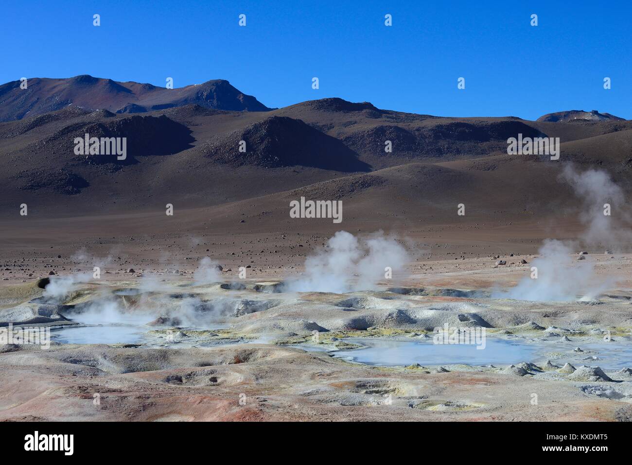 Sol de Mañana, der Höchste geothermale Feld in der Welt, Reserva Nacional de Fauna Andina Eduardo Abaroa, Sur Lípez, Potosí Stockfoto