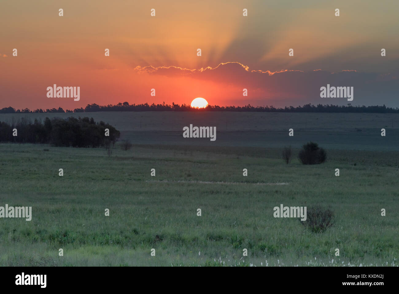 Kruger National Park, Mpumalanga, Südafrika Stockfoto