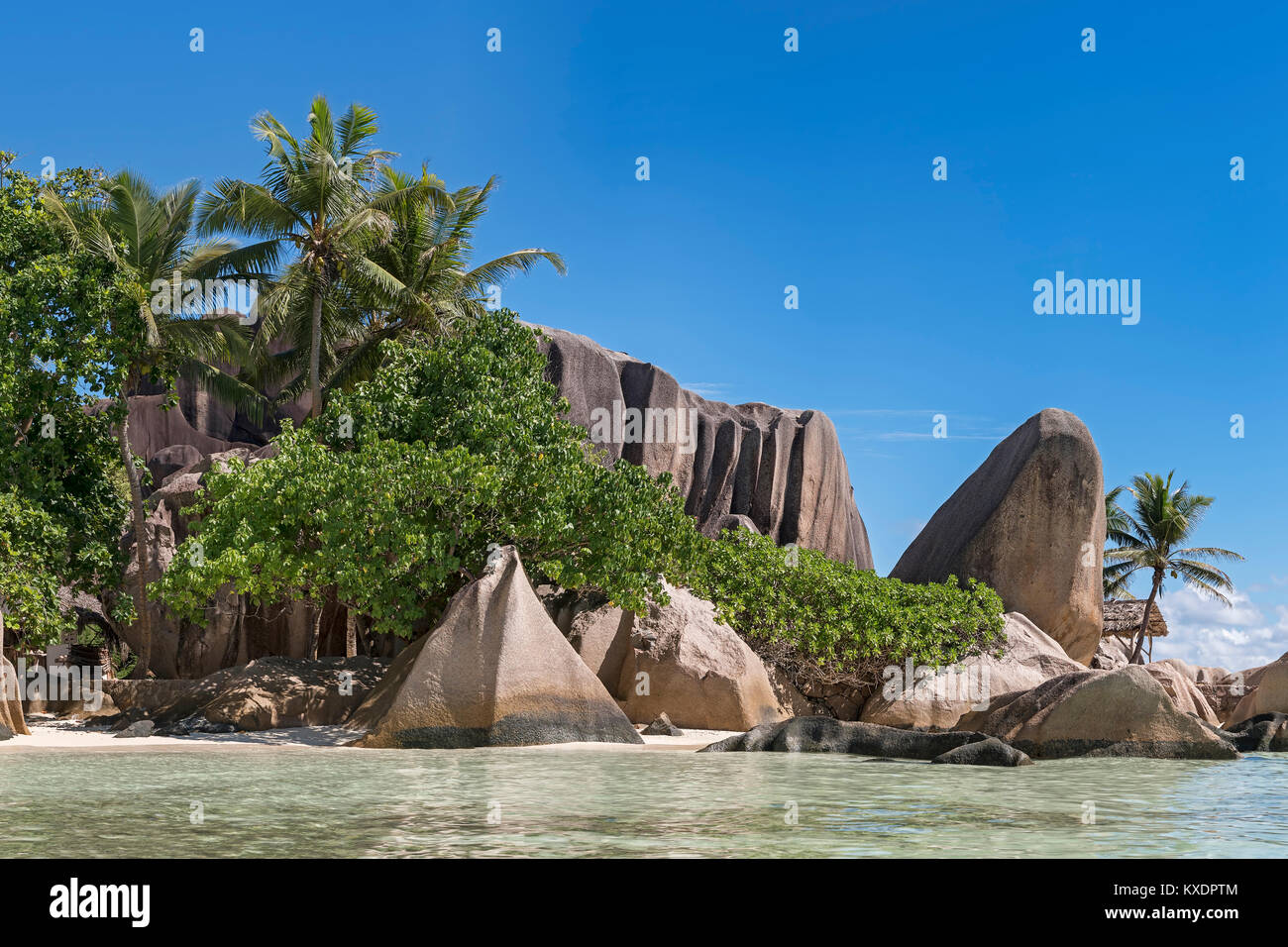 Granitfelsen mit Palmen am Strand Anse Source D'Argent, La Digue, Seychellen Stockfoto