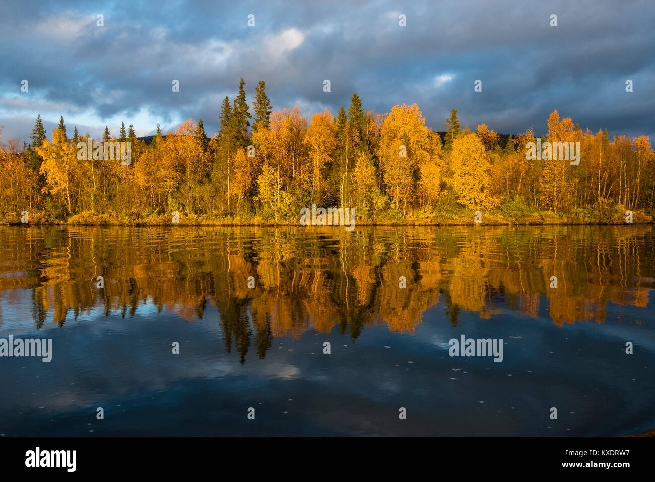 Herbst Landschaft, Spiegelung, Kvikkjokk Delta, Fluss Tarraätno, Sarek Nationalpark, Norrbottens, Norrbottens Län, Laponia Stockfoto